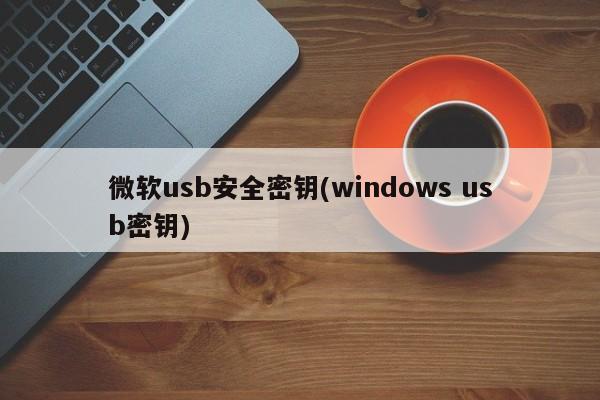 微软usb安全密钥(windows usb密钥) 20240712更新